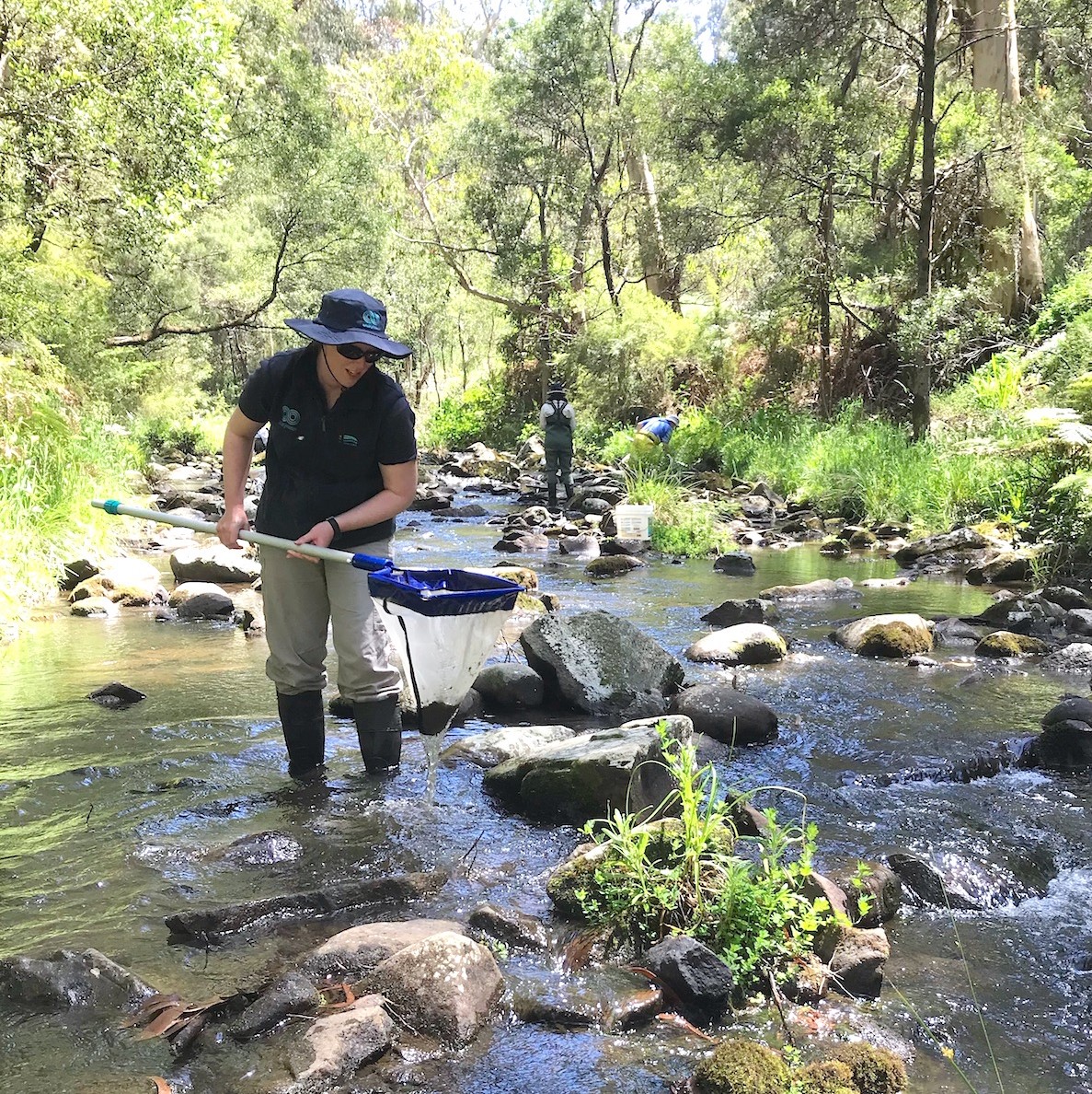 Erskine River - Lorne VIC