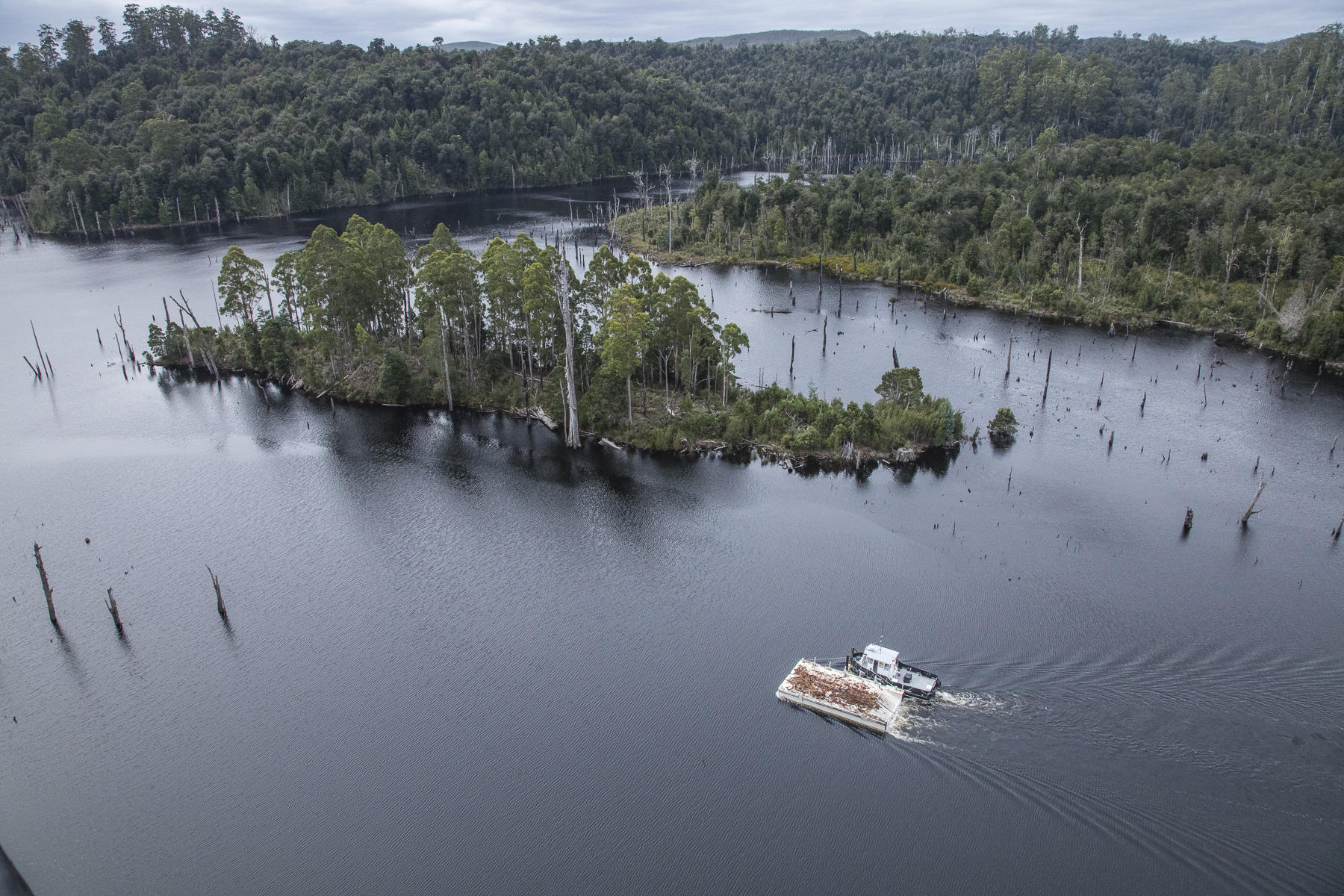 Barge transporting logs across Lake Pieman