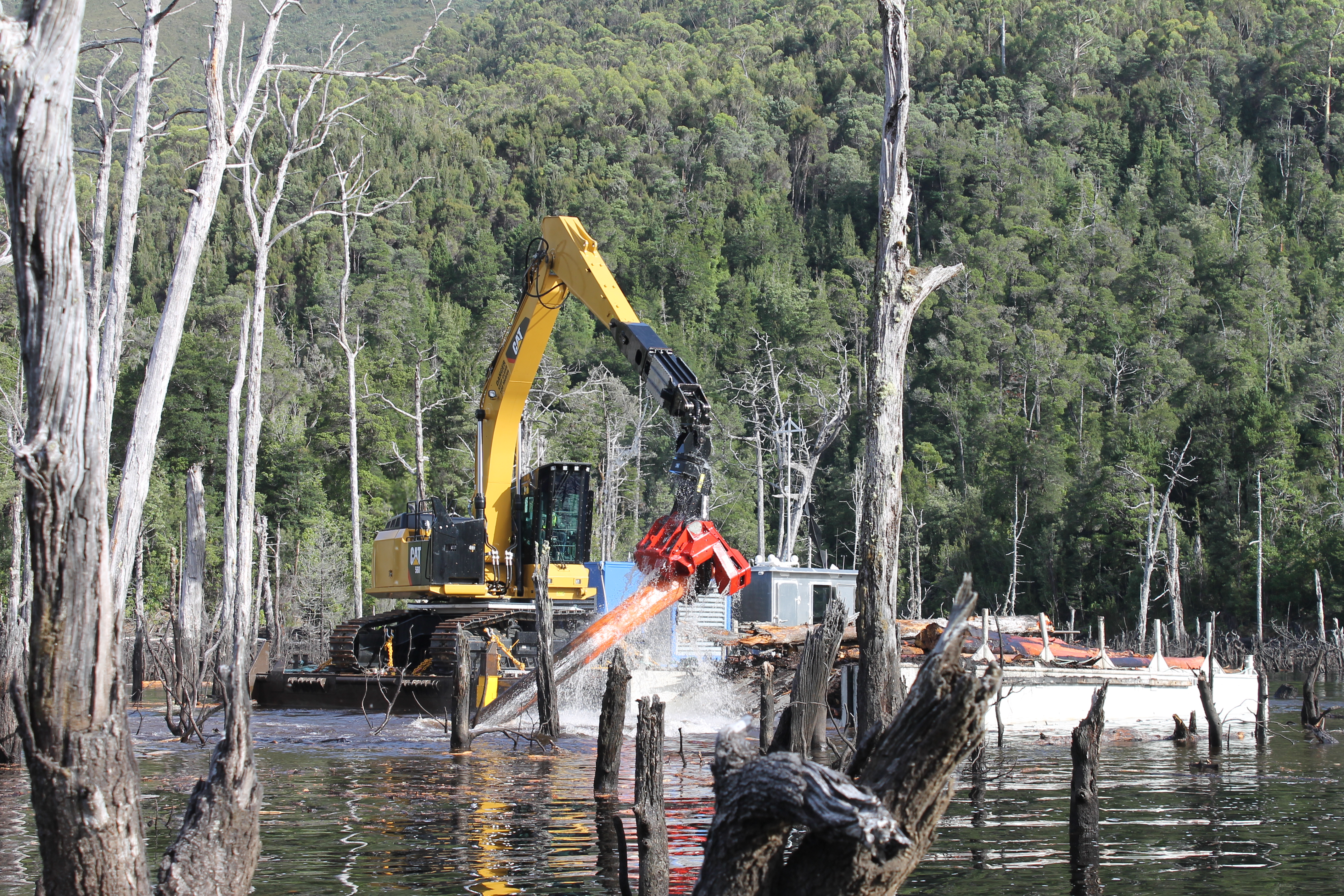 Trees being harvested by specialised chainsaw equipment fixed to a barge floating on top of the water