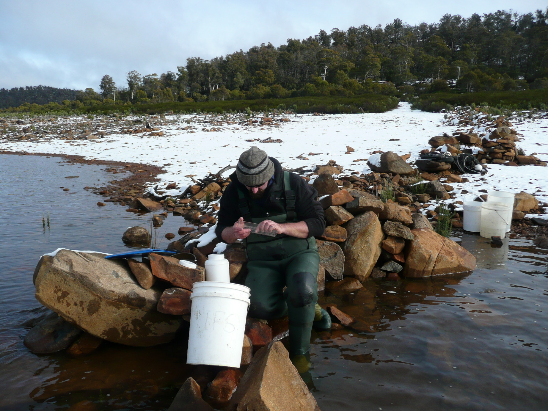A Hydro Tasmania scientist taking measurements from a Galaxiid on the shore of Lake Pedder