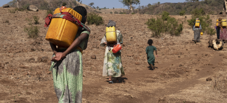 Villagers can walk for miles to fetch fresh water