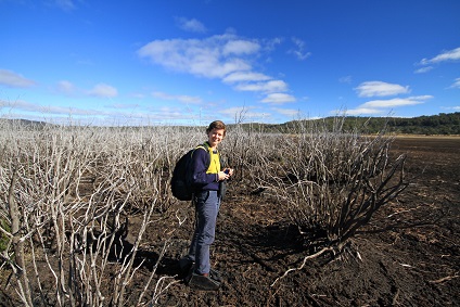 lagoon of islands IMG_1053