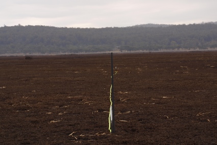 Lagoon ilsand veg b4Tr3_site 2_1