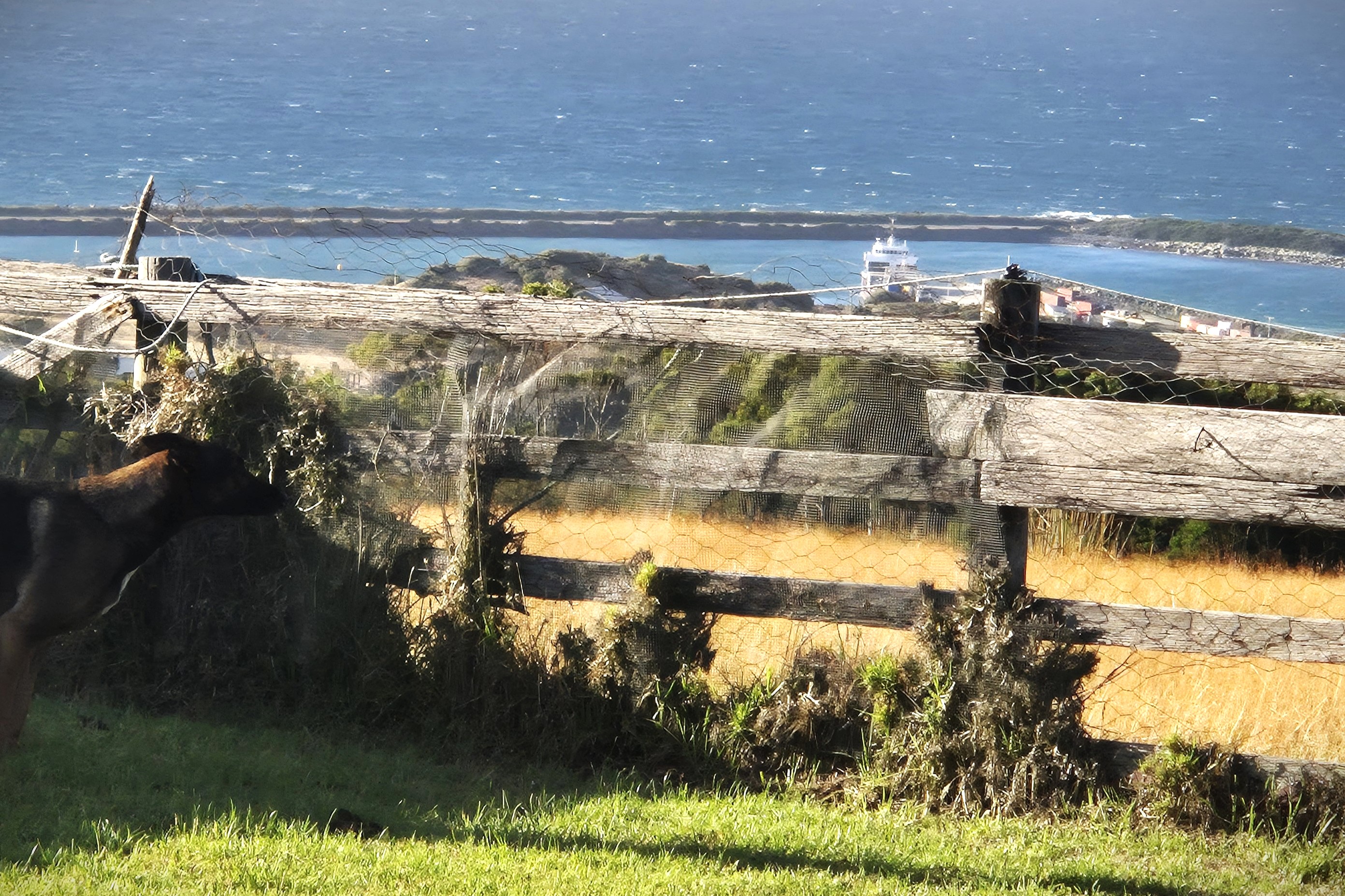 A view of King Island