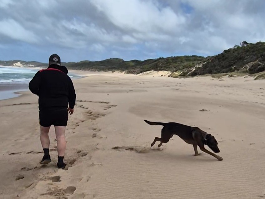 A man walking his dog at the beach