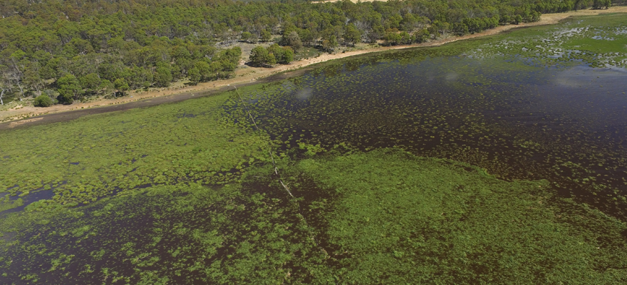 World-Wetlands-Day_An aerial-view-of-Lagoon-of-Islands