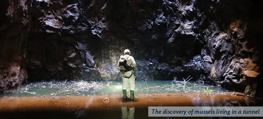 Norm inspecting mussels in a tunnel