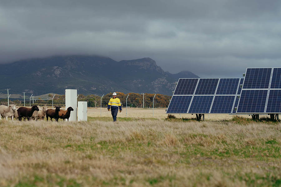 Flinders Island solar panels