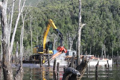 Trees being harvested by specialised chainsaw equipment fixed to a barge floating on top of the water