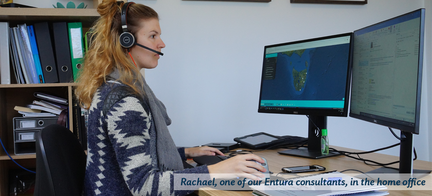 Rachael, one of our Entura consultants, working from home during COVID-19 restrictions