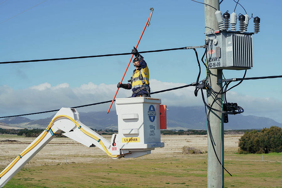 Linesman on Flinders Island