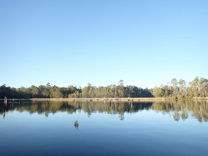 Landscape with large pond and blue skies with trees on the horizon