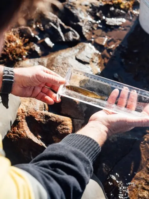 Water quality testing at Great Lake