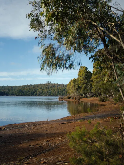 Lake Binney Shoreline
