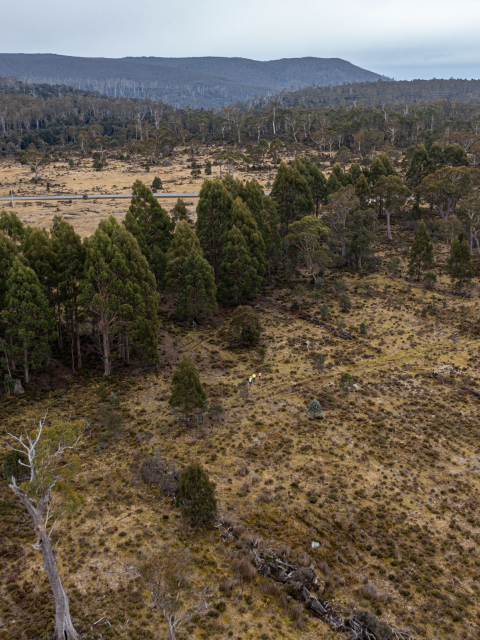 Overhead view of proposed site for Cethana workforce accommodation facility at Middlesex