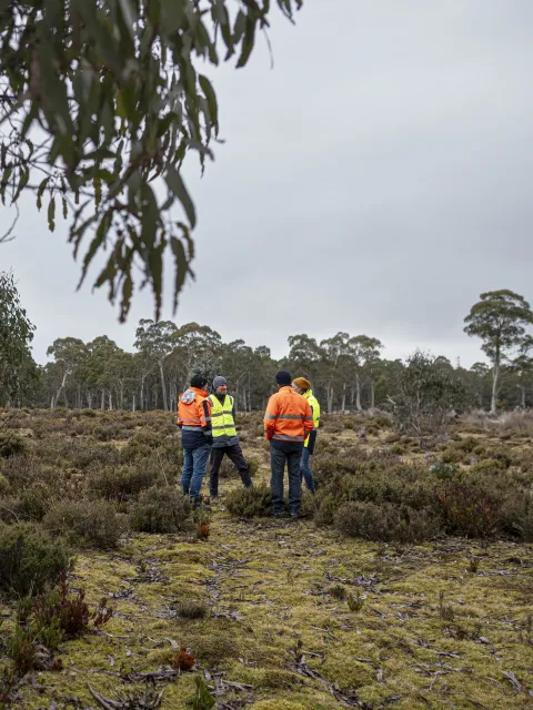 Cethana Pumped Hydro Site