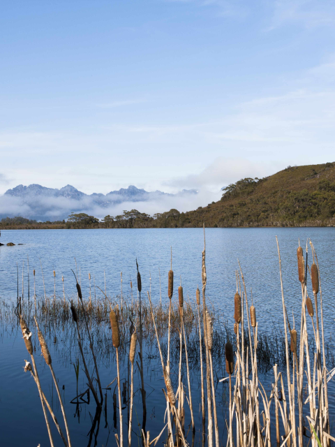 image showing edgar pond on a sunny day 