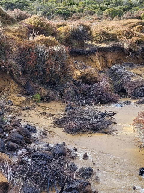 Lake Mackenzie rehabilitation site