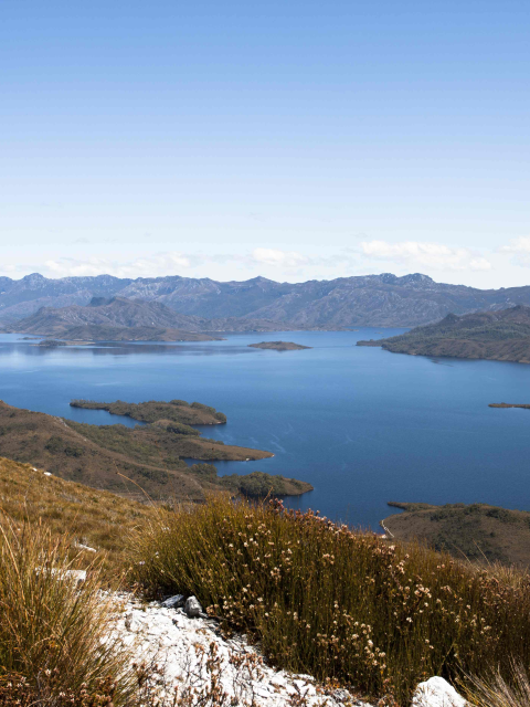 Image of a clear day with blue sky looking over Lake Pedder landscape