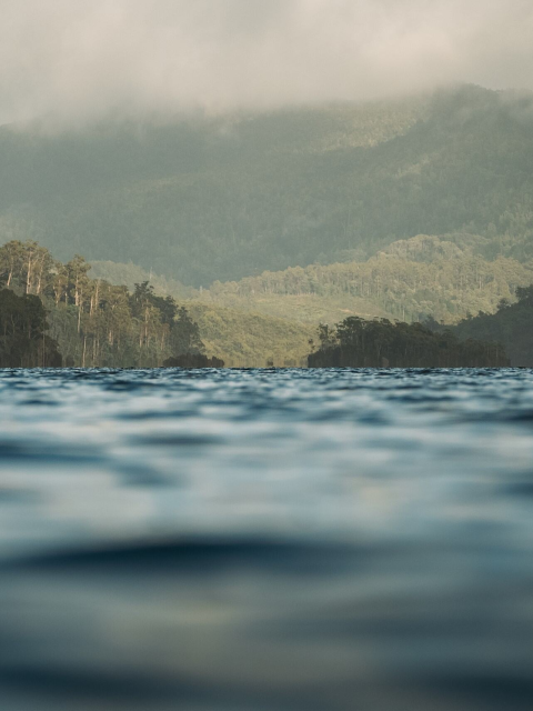 Image showing hydro tasmania lake on misty day