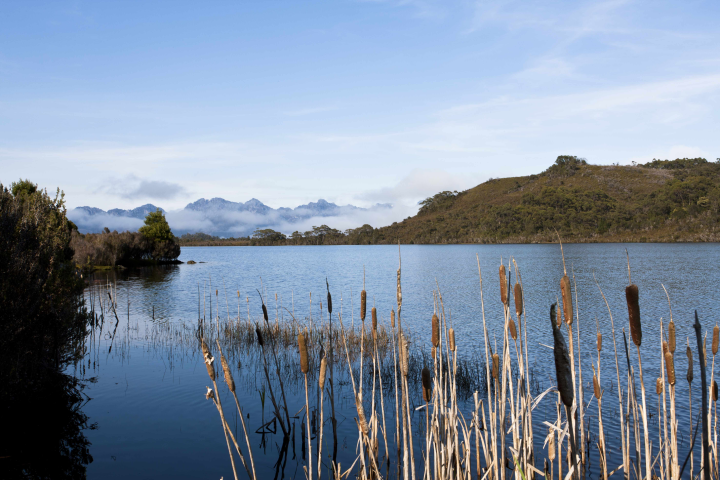 image showing edgar pond on a sunny day 
