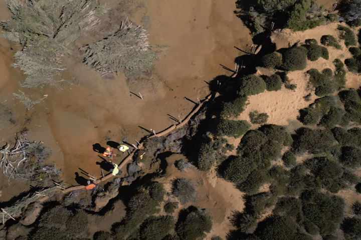 rehabilitation works at Lake Mackenzie