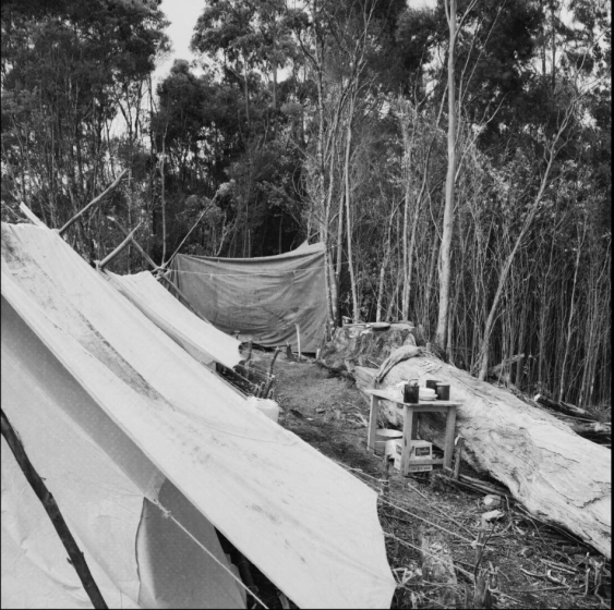 Camp Olga
