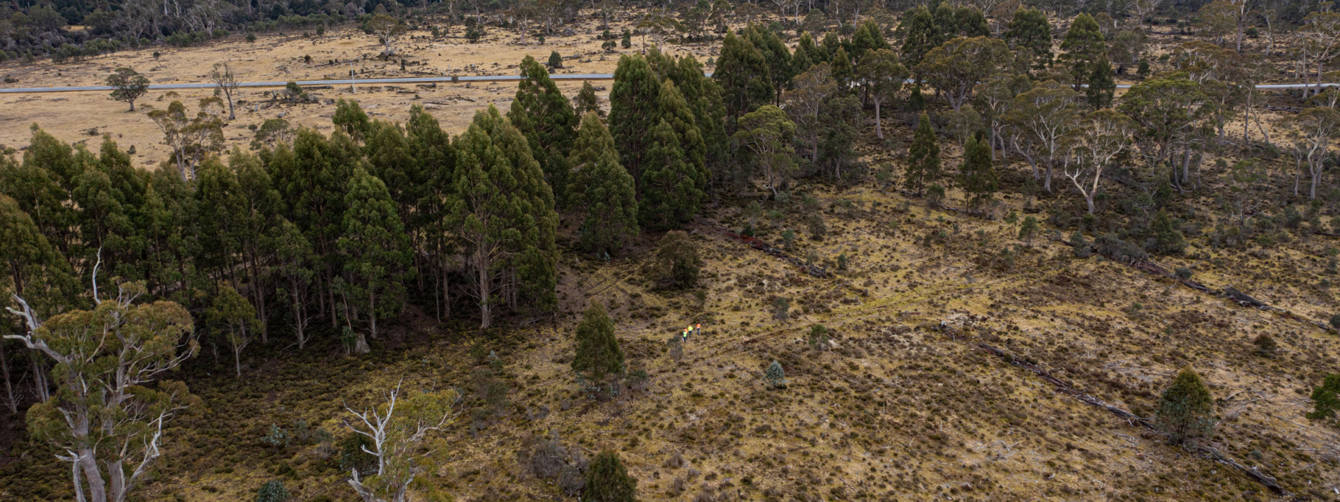 Overhead view of proposed site for Cethana workforce accommodation facility at Middlesex