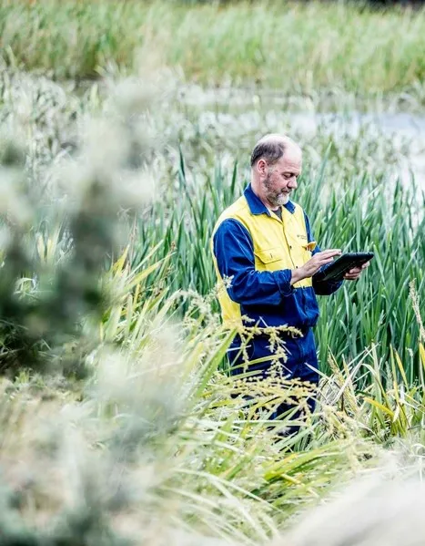 Man in hi-vis work clothes amongst reeds