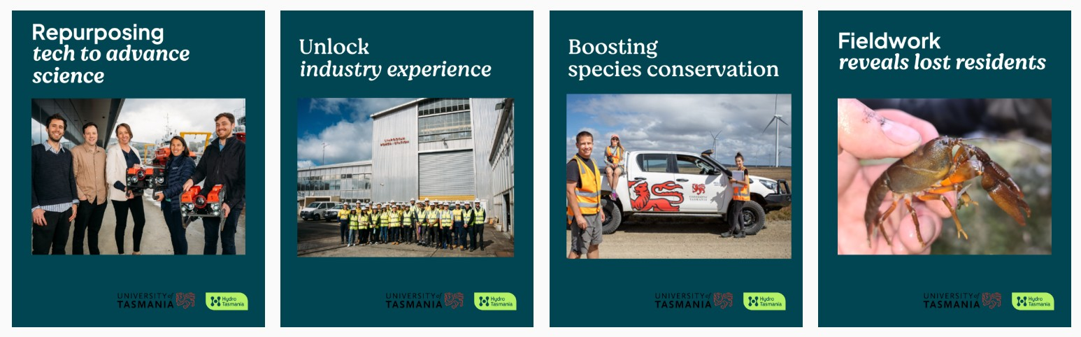 images of IMPACT stories